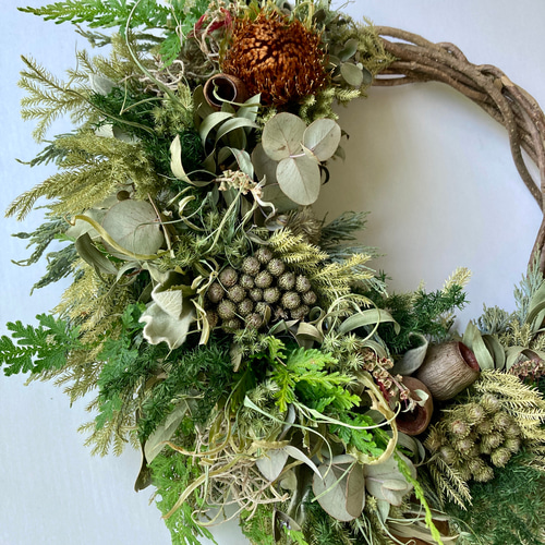 初夏 グリーンリース ハーフリース ドライフラワー ユーカリ