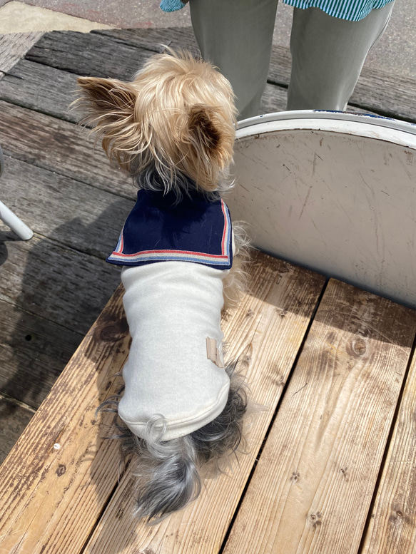 犬服　セーラータンクトップ　夏服 8枚目の画像