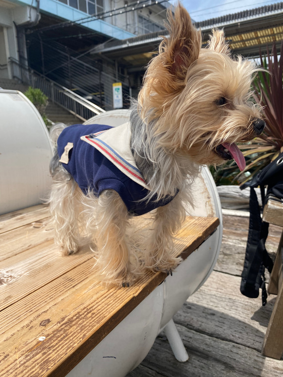 犬服　セーラータンクトップ　夏服 9枚目の画像