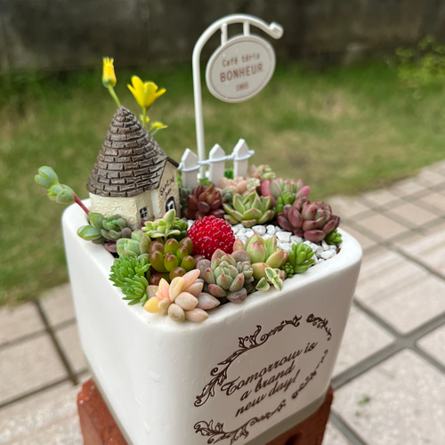 ☆送料無料☆♡そのまま飾れる♡陶器鉢♬ヨーロピアンガーデンの箱庭風 