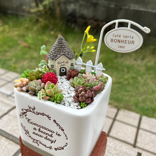 ☆送料無料☆♡そのまま飾れる♡陶器鉢♬ヨーロピアンガーデンの