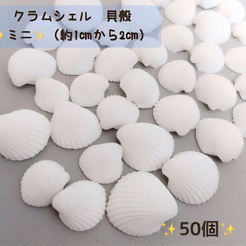 マリン ミニ 貝殻 白 クラム シェル 50個 ハンドメイド 素材 東京堂