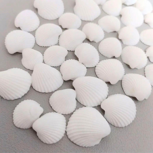 マリン ミニ 貝殻 白 クラム シェル 50個 ハンドメイド 素材 東京堂