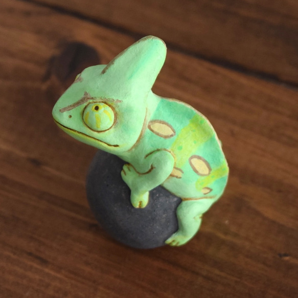 岩石上的鳳頭變色龍 第6張的照片