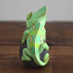 岩石上的鳳頭變色龍 第2張的照片