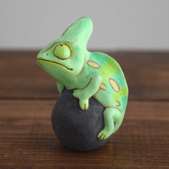 岩石上的鳳頭變色龍 第4張的照片