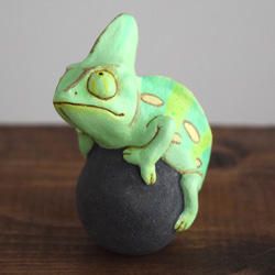 岩石上的鳳頭變色龍 第1張的照片