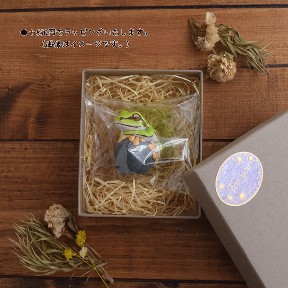 岩石上的鳳頭變色龍 第9張的照片