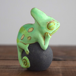 岩石上的鳳頭變色龍 第3張的照片