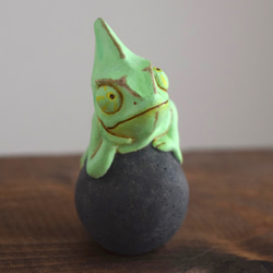 岩石上的鳳頭變色龍 第5張的照片