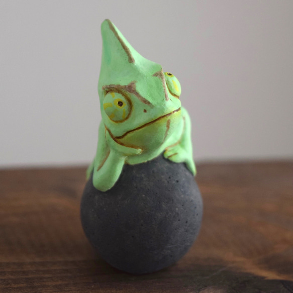 岩石上的鳳頭變色龍 第5張的照片