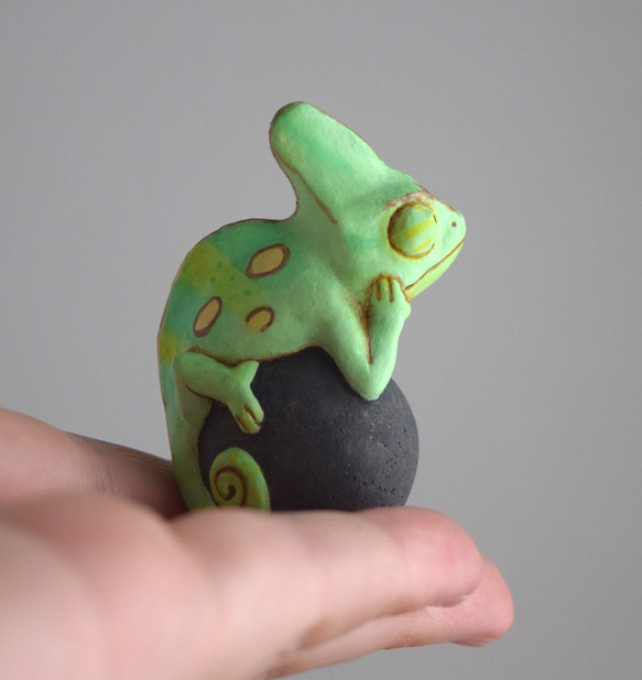 岩石上的鳳頭變色龍 第7張的照片