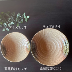 大きめボウル　ろくべ型浅鉢　大きさ2サイズ　和モダン 5枚目の画像