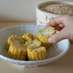 大きめボウル　ろくべ型浅鉢　大きさ2サイズ　和モダン 1枚目の画像