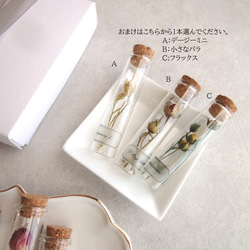 【Creema限定】【限定数】植物標本 ■ 5本セットFinger Bottles ■ 1本選べるおまけつき 4枚目の画像