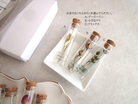 【Creema限定】【限定数】植物標本 ■ 5本セットFinger Bottles ■ 1本選べるおまけつき 4枚目の画像