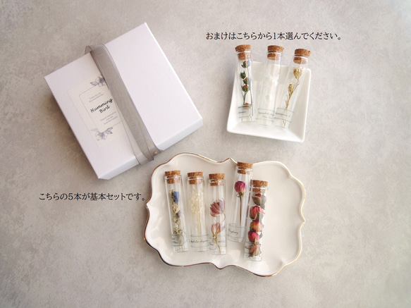 【Creema限定】【限定数】植物標本 ■ 5本セットFinger Bottles ■ 1本選べるおまけつき 2枚目の画像