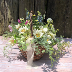 幸福のブッダナッツ/LEDライトアップ天然素材ドライフラワー