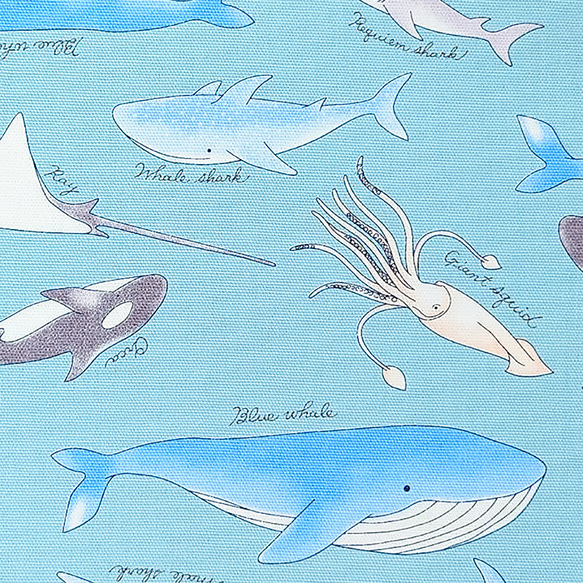オックス生地【50×110cm】海の生き物 海 くじら サメ イカ シャチ  生地 布 3枚目の画像