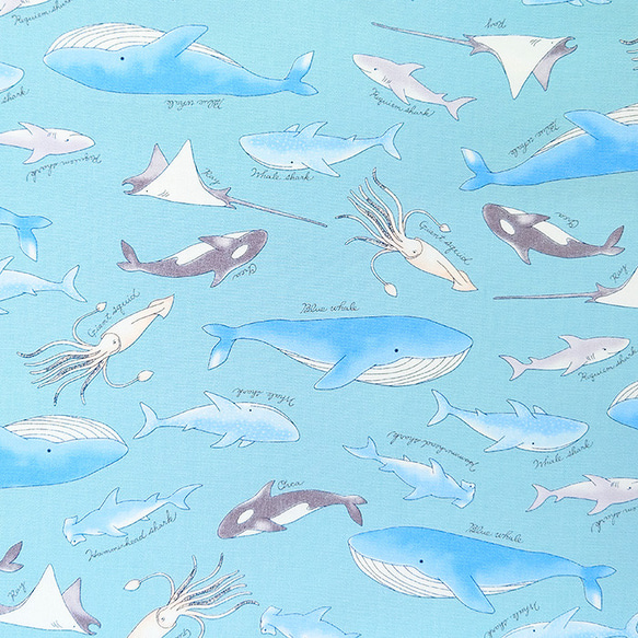 オックス生地【50×110cm】海の生き物 海 くじら サメ イカ シャチ  生地 布 4枚目の画像