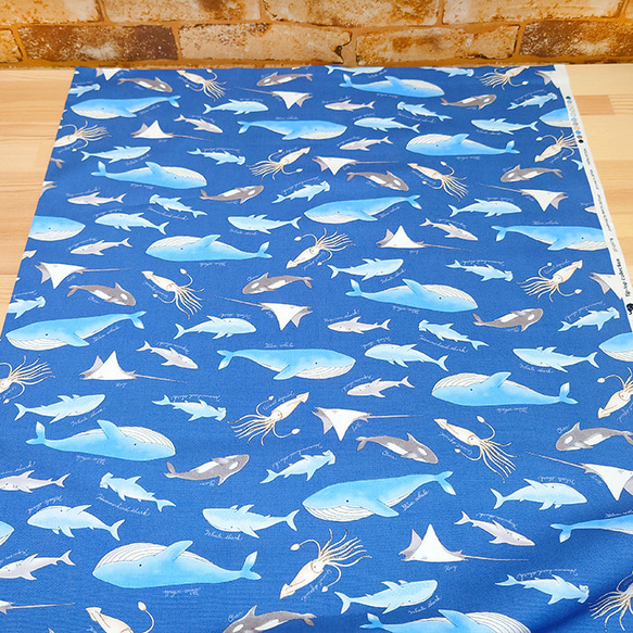 オックス生地【50×110cm】海の生き物 海 くじら サメ イカ シャチ  生地 布 10枚目の画像