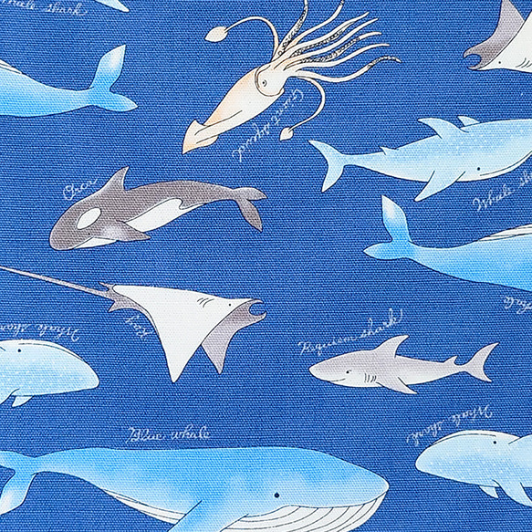 オックス生地【50×110cm】海の生き物 海 くじら サメ イカ シャチ  生地 布 8枚目の画像