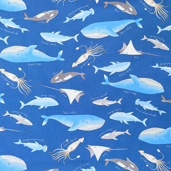 オックス生地【50×110cm】海の生き物 海 くじら サメ イカ シャチ  生地 布 9枚目の画像