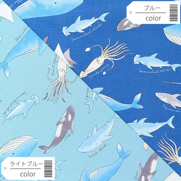 オックス生地【50×110cm】海の生き物 海 くじら サメ イカ シャチ  生地 布 2枚目の画像
