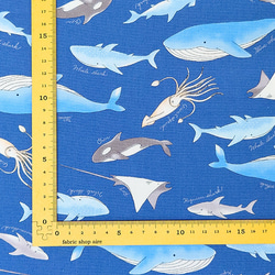 オックス生地【50×110cm】海の生き物 海 くじら サメ イカ シャチ  生地 布 12枚目の画像