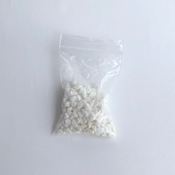 羅恩鯨鯊對象 第7張的照片