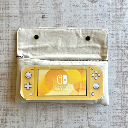switch light + ポーチ