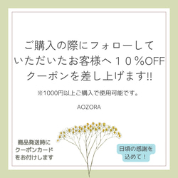 AOZORA本気の溜め込まない茶  Special Tea　4包入り 8枚目の画像