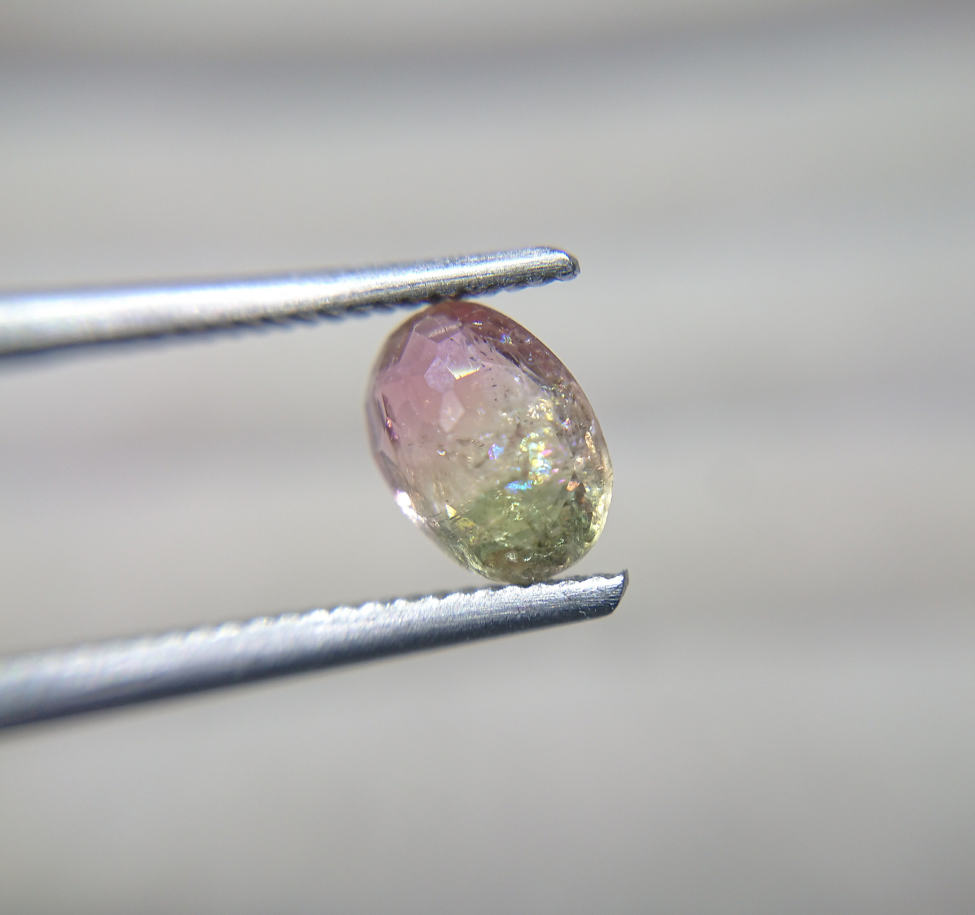 Alamoscars - バイカラートルマリン 0.71ct ⭐1876