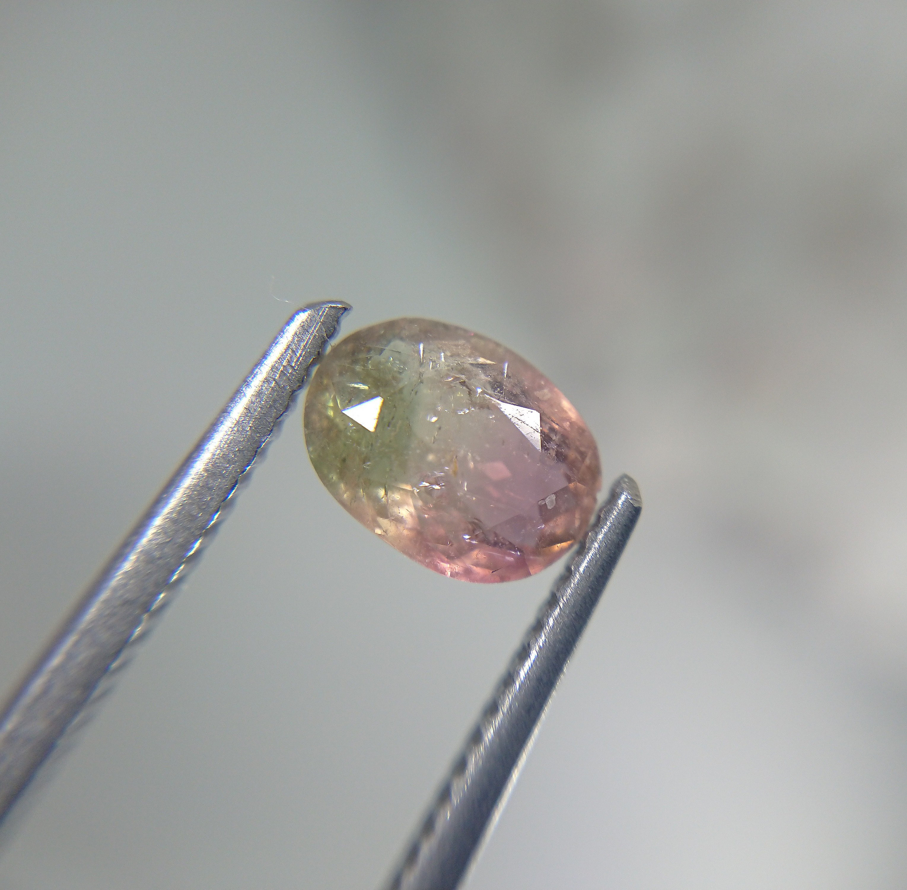 Alamoscars - バイカラートルマリン 0.71ct ⭐1876