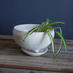白いマットな釉薬の脚付き植木鉢６ 3枚目の画像