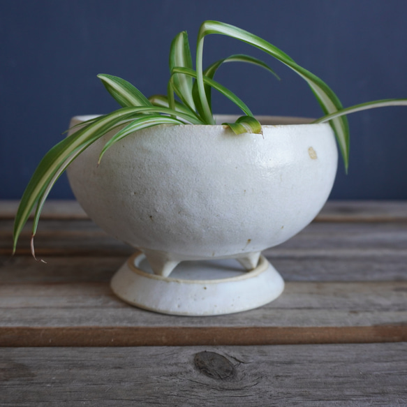 白いマットな釉薬の脚付き植木鉢６ 7枚目の画像