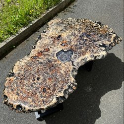 ポプラ瘤木とジルコニアのジュエリーティントテーブルCNS8888 10枚目の画像