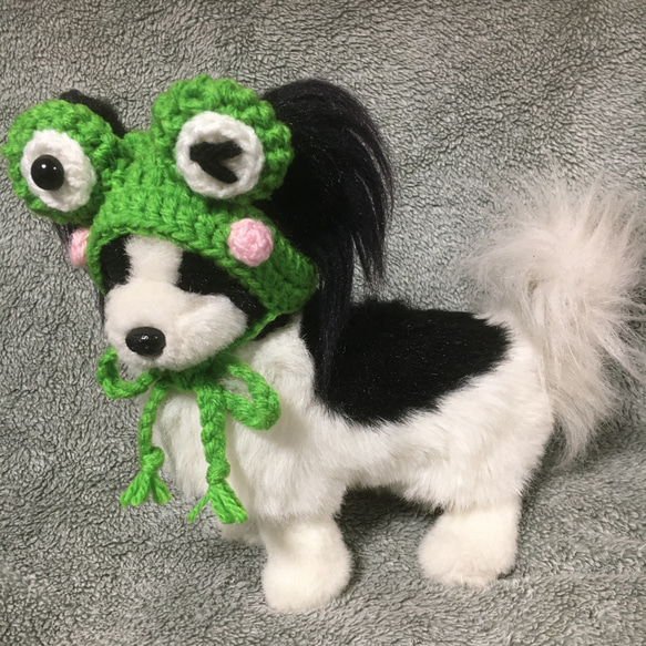 カエルの帽子❤️小型犬用帽子・猫用帽子❤️ハンドメイド 2枚目の画像