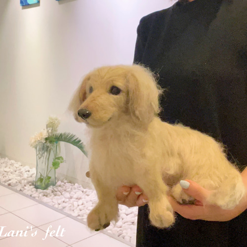 羊毛フェルト オーダー 「リアルで可愛いワンちゃんネコちゃん