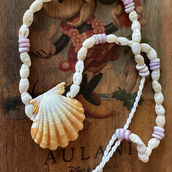 ハワイアンイエローサンライズシェルとニイハウライキシェルの