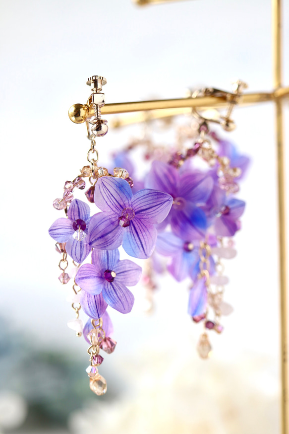 繡球花* 雨季留下的東西〜耳環/耳環繡球花，鮮花，禮物 第14張的照片