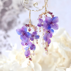 繡球花* 雨季留下的東西〜耳環/耳環繡球花，鮮花，禮物 第1張的照片