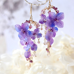 繡球花* 雨季留下的東西〜耳環/耳環繡球花，鮮花，禮物 第18張的照片