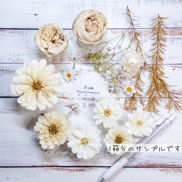 [送料無料]プリザの花箱✿Sweet Cream 花材セット 詰め合わせ プリザーブドフラワー ドライフラワー 2枚目の画像