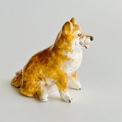柴犬（shiba inu） 2枚目の画像