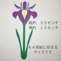 菖蒲　壁面飾り　ショウブ　イベント　壁飾り　季節の花　SHOPmako 2枚目の画像