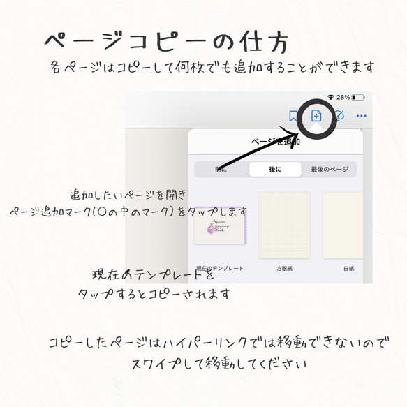 デジタル家計簿⭐︎繰り返し使える日付フリータイプ全43ページ 13枚目の画像