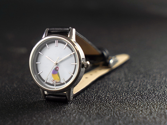 七彩文鳥手錶 黑錶帶 女裝手錶 全球免運 第5張的照片