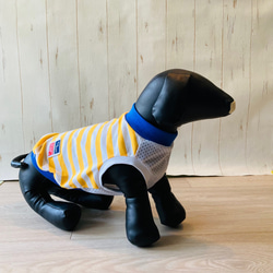 ボーダー柄 ❤︎ サマーメッシュタイプ 防蚊モステクト加工タンクトップ ドッグウェア　犬服 4枚目の画像