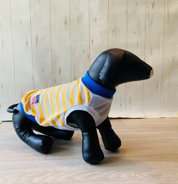 ボーダー柄 ❤︎ サマーメッシュタイプ 防蚊モステクト加工タンクトップ ドッグウェア　犬服 4枚目の画像